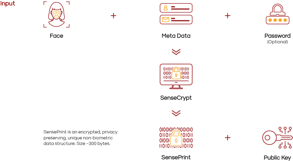 SenseCrypt PKI 2 Infographic illustrating data encryption flow: A face icon combines with metadata and an optional password to create a SensePrint, integrating secure identity verification through SenseCrypt. SensePrint outputs smaller encrypted data, secured with a public key. Text explains the process.
